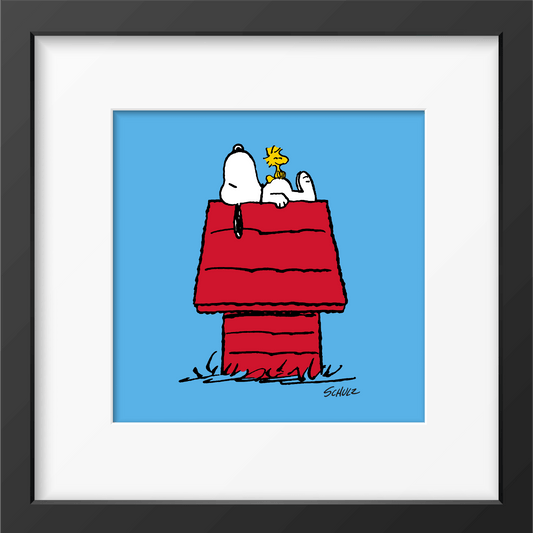 Peanuts House Framed Print - PopArtFusion