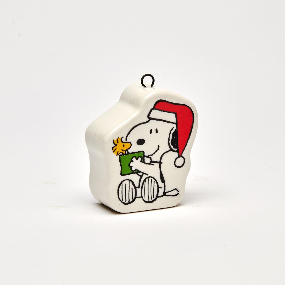 Peanuts Bauble Gift - PopArtFusion
