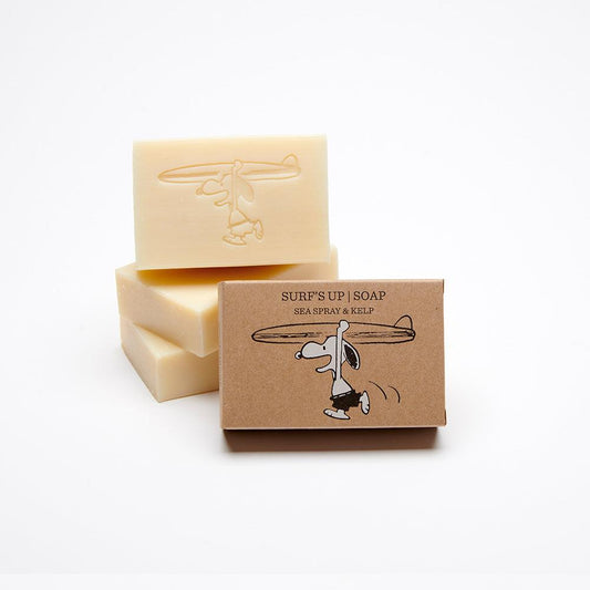 Peanuts Surf's Up Soap - PopArtFusion
